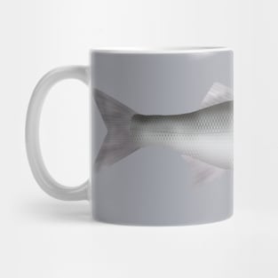 European Seabass Mug